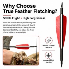 3″ 4″ 5″ Archery Arrow Natural Turkey Feathers Shield Cut Fletching Fletches DIY