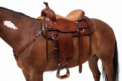 Horse Western Saddle Tack Barrel Racing Aluminium Stirrups 5181