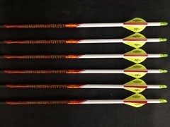 Black Eagle Outlaw White Crested Fletched 300 Arrows 1/2dz BRAND NEW