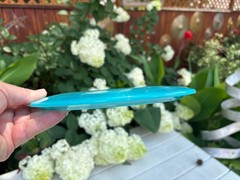 2021 Blue GLOW Flat Champion Eagle Disc Golf Innova Penned (Free Returns) #2416