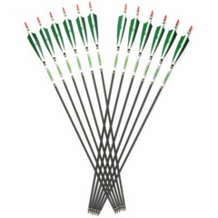 12Pcs 33inch Carbon Hunting Arrows Archery Target Arrows with 5″ Turkey Feathers