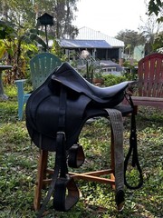 IMPORTED LEATHER SADDLE