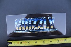Grizzly Skateboard Grip Tape Chrome Silver Z65C Original Skateboarding STICKER