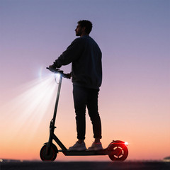 Ladped LP60 Adult Electric Scooter Foldable 25KM/H 12Miles E-Scooter 350W w/APP