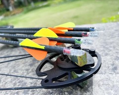 GT Lighted Nocks for Arrows with .246 Inside Diameter Bolts with ON/Off Switch