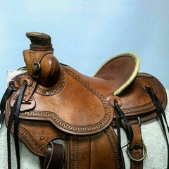 Western Saddle Roping Ranch Work Equestrian Trail Horse Wade Tree A Fork Premium