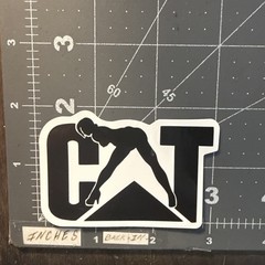 CAT Stripper Girl Adult Humor Sticker For Phone Guitar Toolbox Ect GL39