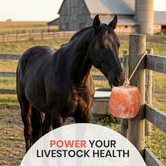 Salt Lick Himalayan Pink Salt Lick Block 5-6lb For Horses Deer & Animals 1 to 12