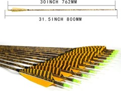 Carbon Practice Arrows 31″ for Compound Bow