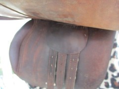 18» MEDIUM CROSBY A/P ENGLISH SADDLE w NEW LEATHERS &BREAKAWAY IRONS,