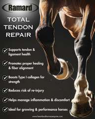 Ramard Total Tendon Repair Horse Supplement Equine Tendon Ligament 30 Day