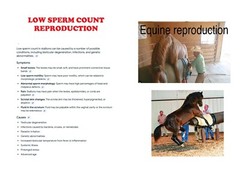 EQUINE SPERM BOOSTER – FERTILITY (120 Capsules – Made in USA)