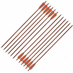 6x 30“ Archery Wooden Arrows Turkey Feather Spine400 for Target Hunting Shooti