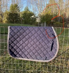 Buyer’s Choice- Used English Saddle Pads