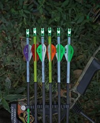 DEEPOWER S Lighted Nocks for Arrows .244/6.2mm 6/12 Pack Lighted Arrow Nocks …