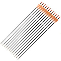 12Pcs 31″ Archery Fiberglass Arrows SP700 OD7mm For Hunting Compound Recurve Bow