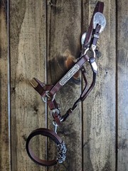 Dark Oil Yearling Show Halter – Congress Cut Silver – Matching Lead Shank