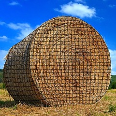 NizHome Large Round Bale Hay Net, Knotless Nets for Horses 4*4FT, black