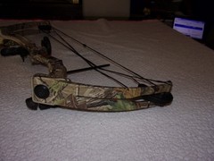 Bear Archery Warrior III Youth Compound Bow NICE