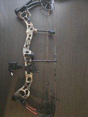 Bear Archery Vast RTH Package RH 70# Stoke