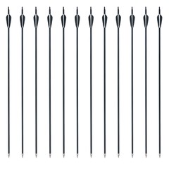 12Pcs 28″ Mixed Carbon Arrows SP500 Archery Target Practice Compound Recurve Bow