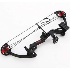 Compound Bow Archery kit for Youth ＆Beginner,15-29 lbs,Adjustable LW Hunting Bow