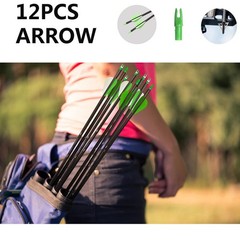 29 Inch Carbon Hunting Arrows Spine 400 with Removable Tips for Archery (12 Pcs)