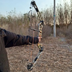 0-70lbs Adjustable Compound Bow Carbon Arrow Kit Archery Shooting Hunting Target