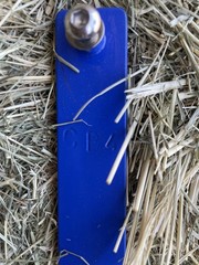 Ovation PESSOA X CHANGE Medium Wide GULLET BAR Blue Saddle Xchange.