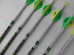 6 Gold Tip Hunter XT 300 Carbon Arrows! Custom White Dip Crest/Blazer Vanes