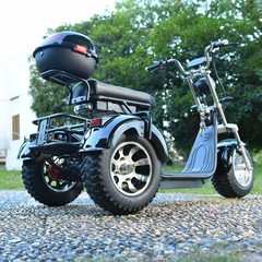Off-road electric tricycle for adult outdoor use 3000W motor max speed 25-28MI