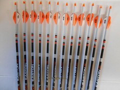 12 Easton 6.5 Hunter Classic 300 Carbon Arrows Custom Dip/Crest & Blazer Vanes