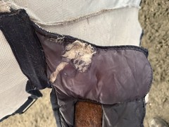 81” Bucas Buzz Off Full Neck Horse Fly Sheet – Used