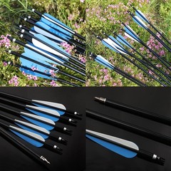 AMEYXGS 12 Pack 30 Inch Archery Aluminum Arrows Spine 300 Hunting Arrows Targ…