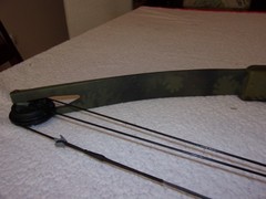 Bear Archery Black Bear Compound Bow
