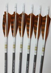 Goldtip warriors arrows for Traditional archery