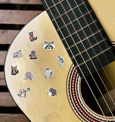 20Pcs Random Cute Raccoon Animal Cartoon Waterproof Stickers