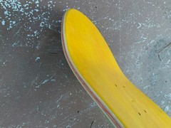 9.5” Shred Skateboards egg shaped skateboard deck