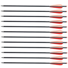 12Pcs 20» Archery Carbon Crossbow Bolt Arrows+12Pcs 100Grain Broadheads Hunting