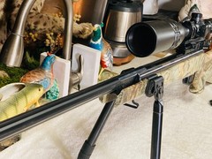 WINCHESTER 1400CS PELLET RIFLE / TPO SCOPE