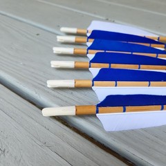 Half Dz 11/32 Cedar Arrows 31″ RW Fletch 5″ 30-40# With 125gn Field Points