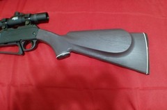daisy bb gun rifle