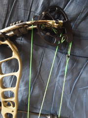 Prime Logic CT3 Compound Bow RH 29″ 60# 335fps EXTRA CAMS INCLUDED!