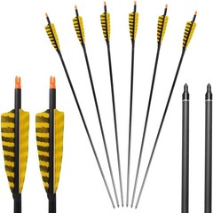 32 Inch Carbon Archery Arrows,Spine 400 with Removable Tips, 4inch Turkey Feathe