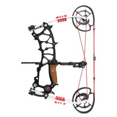 Archery Compound Bow Kit Hunting Bowfishing Target Practice 30-75lbs Adjustable