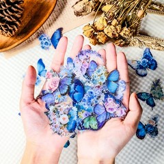 200pcs PET Butterfly Stickers for Water Bottles, Waterproof Transparent Holog…