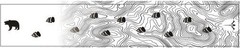 White Water Archery Bear Topo White Arrow Wraps Choose Length Width