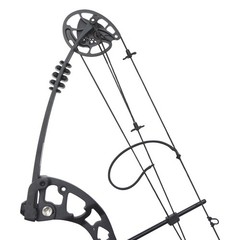 30-55lbs Compound Bow Archery 310FPS Pulley Bow Arrow Set RH Hunting Shooting