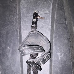 Scott Archery Echo