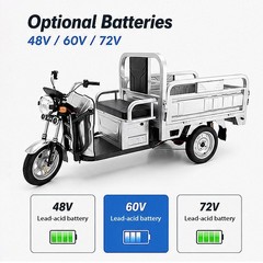 Electric Tricycle Cargo Truck 600W Free Shipping Electric Cargo Trike Orchard
